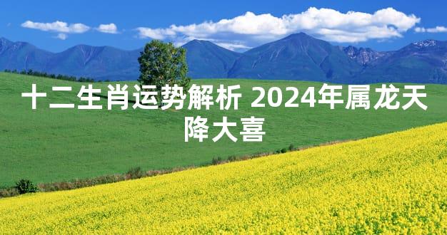 十二生肖运势解析 2024年属龙天降大喜